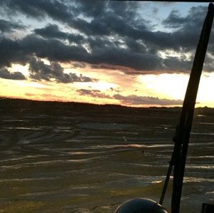 Meet your Posher, Jasper